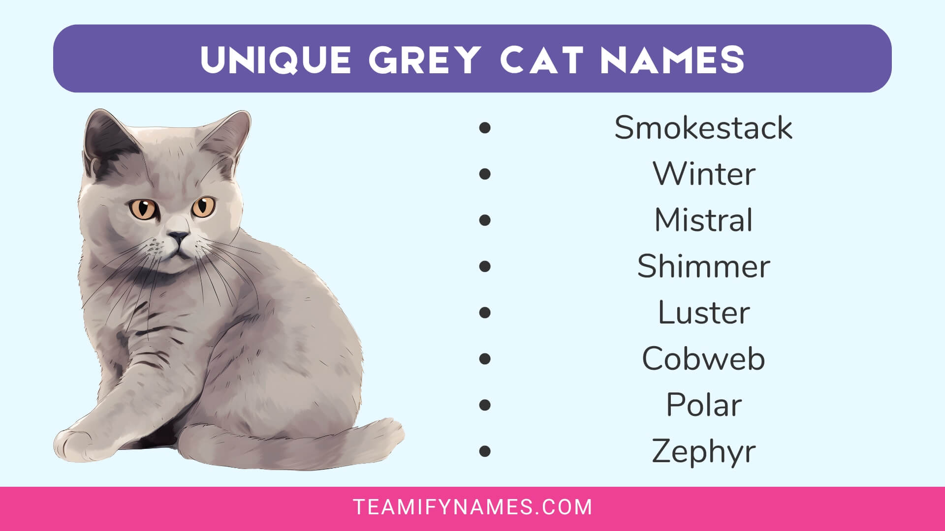 Unique Grey Cat Names