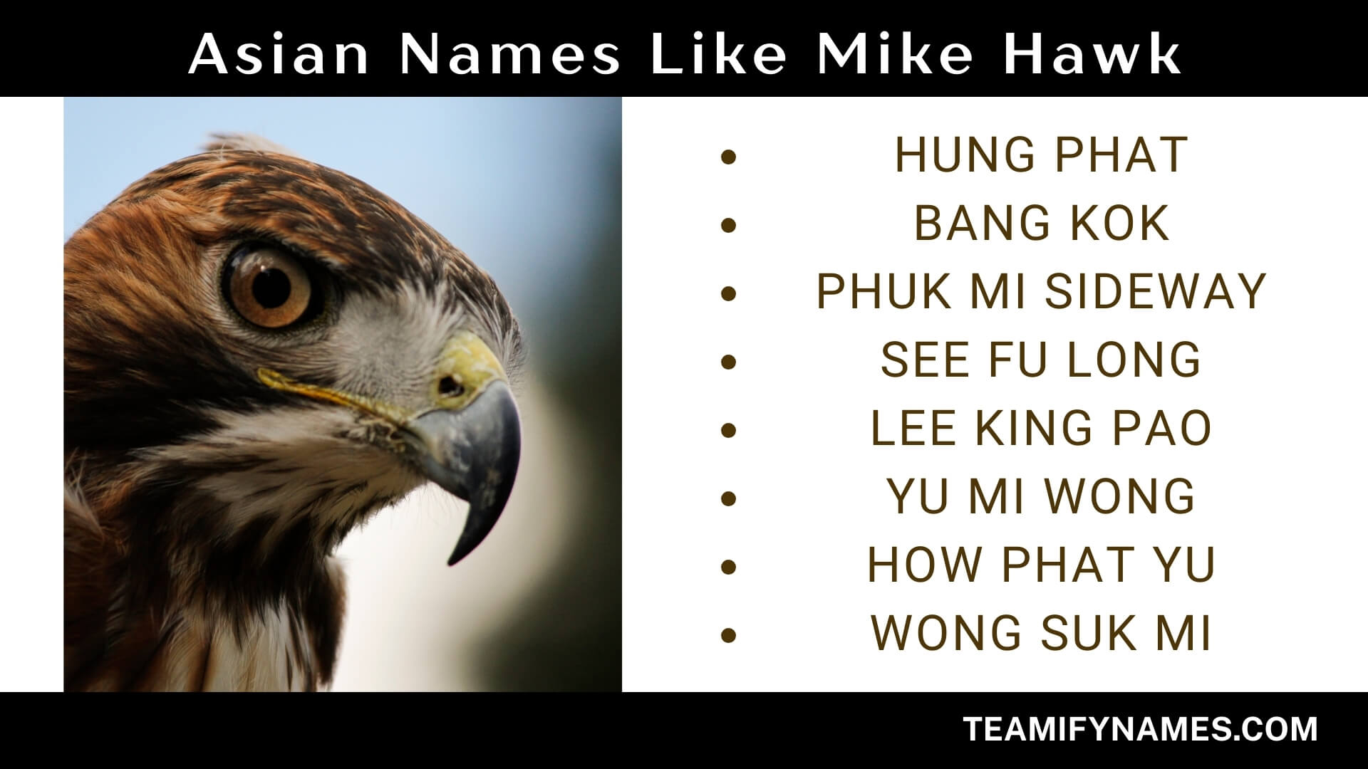 Asian Names Like Mike Hawk