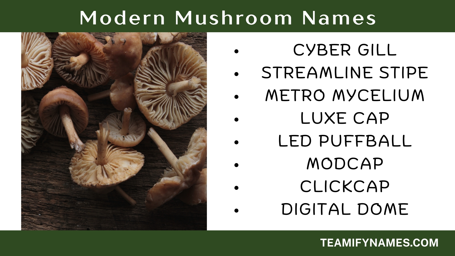 Modern Mushroom Names