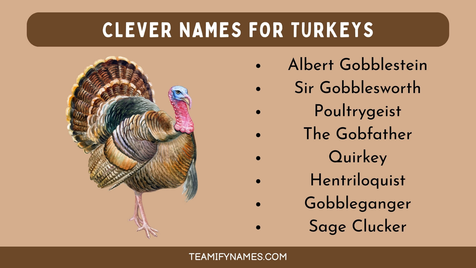 Clever Names For Turkeys