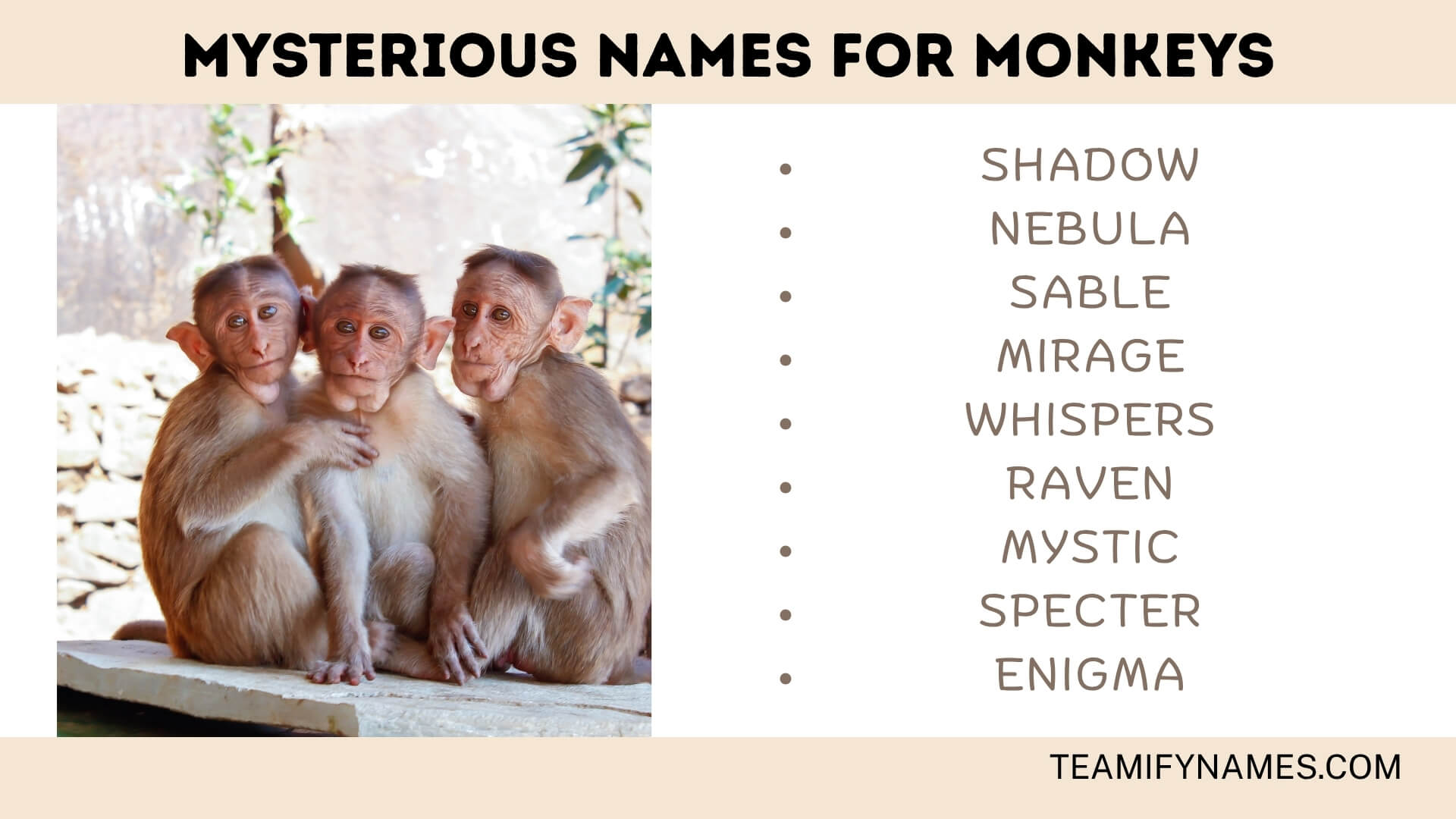 Mysterious Names For Monkeys
