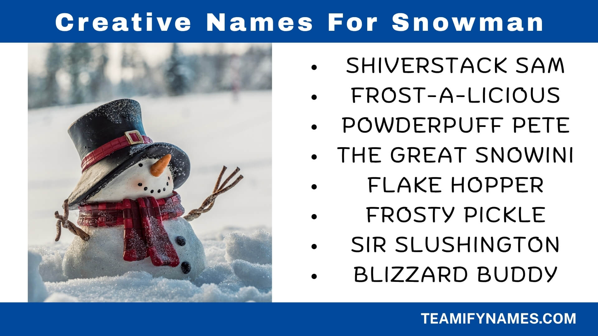 Creative Names For Snowman