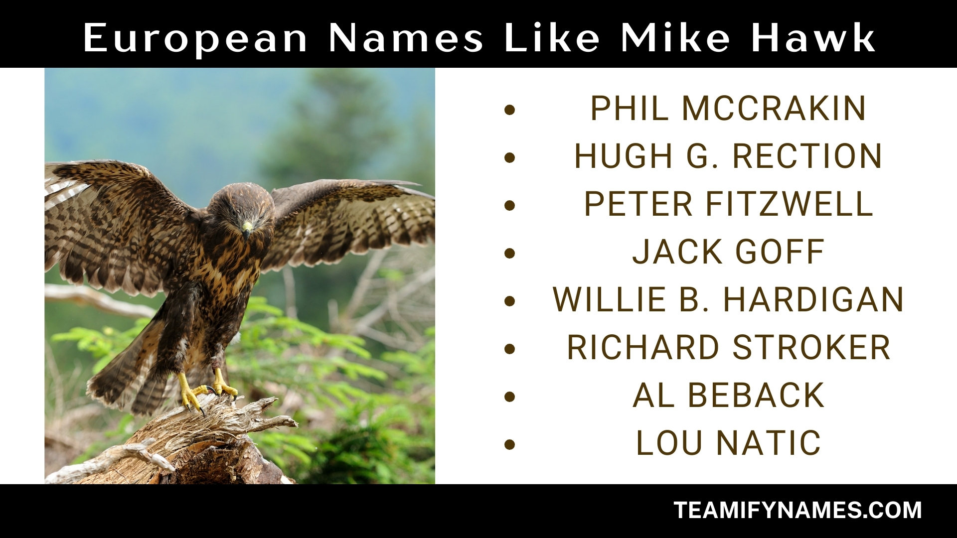 European Names Like Mike Hawk