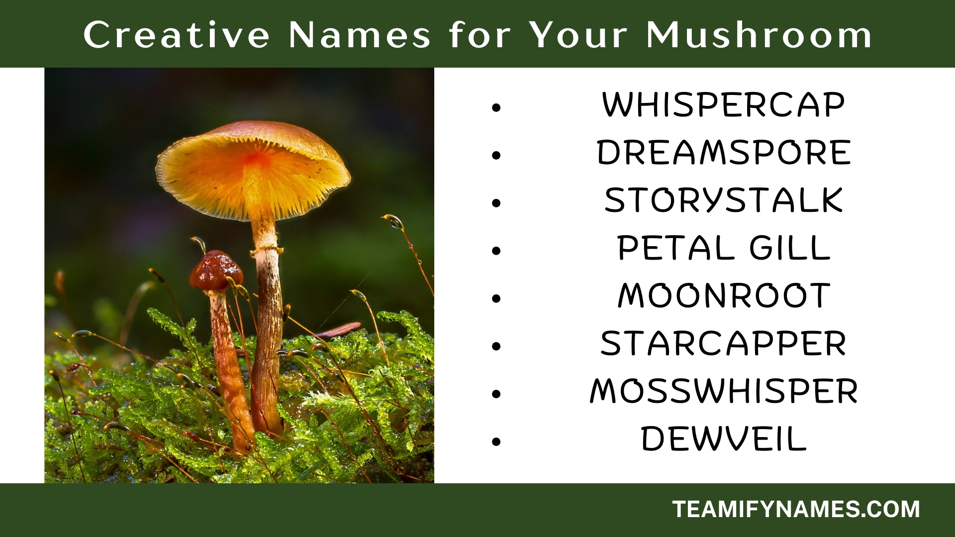 Creative Names for Your Mushroom