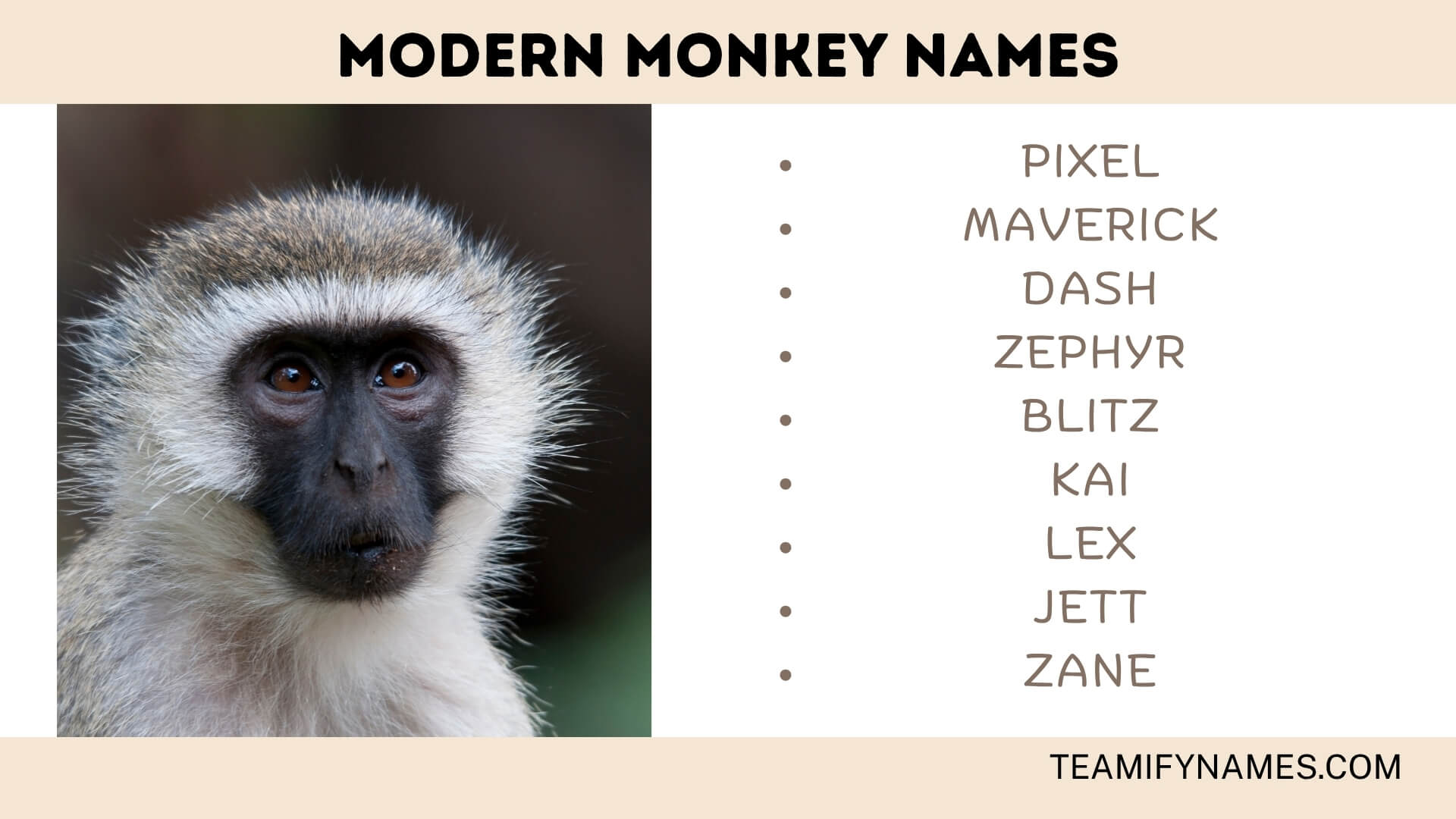 Modern Monkey Names