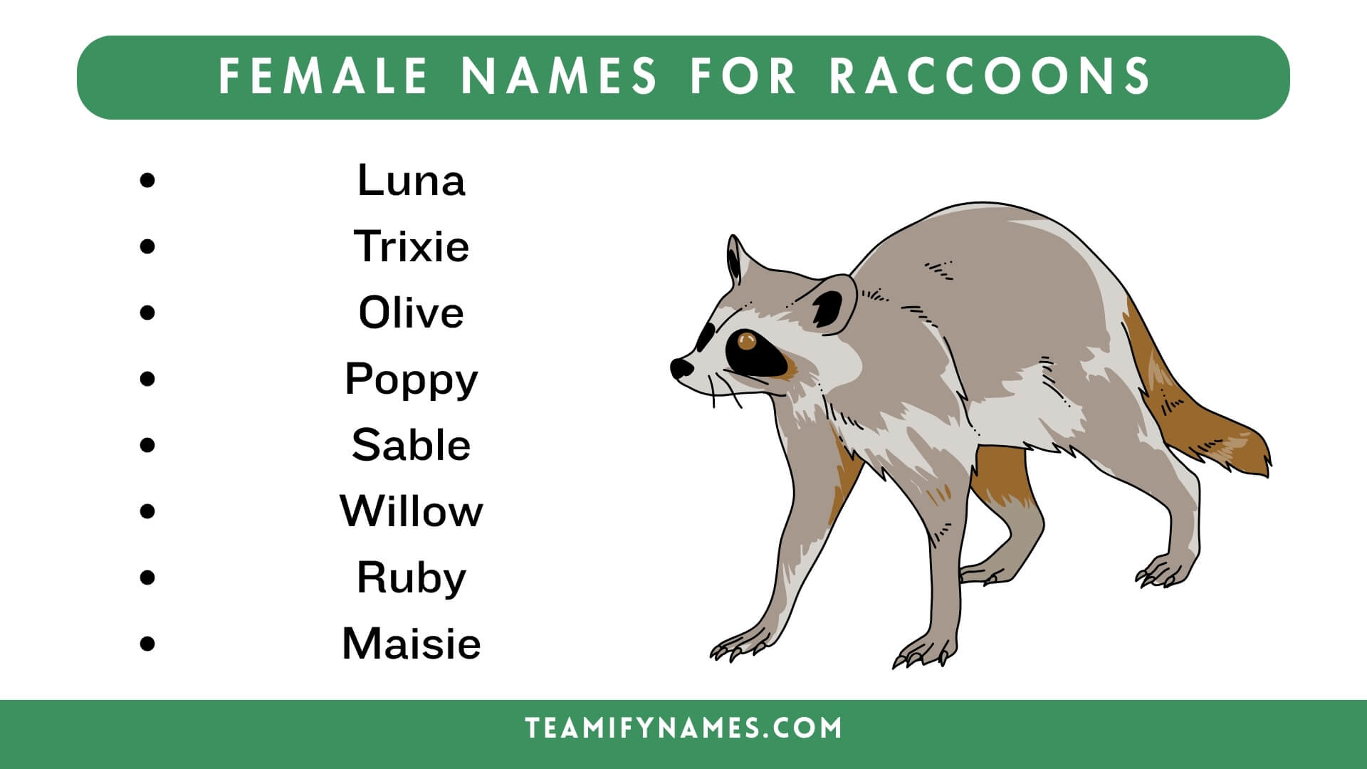 Female Names For Raccoons