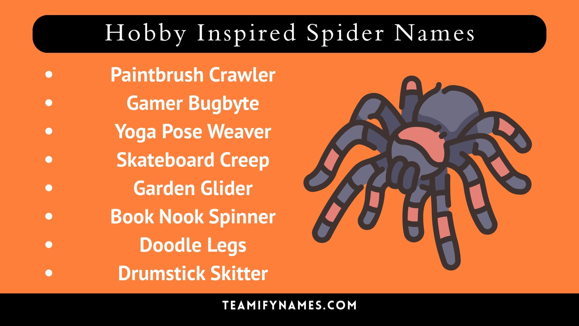 Hobby Inspired Spider Names