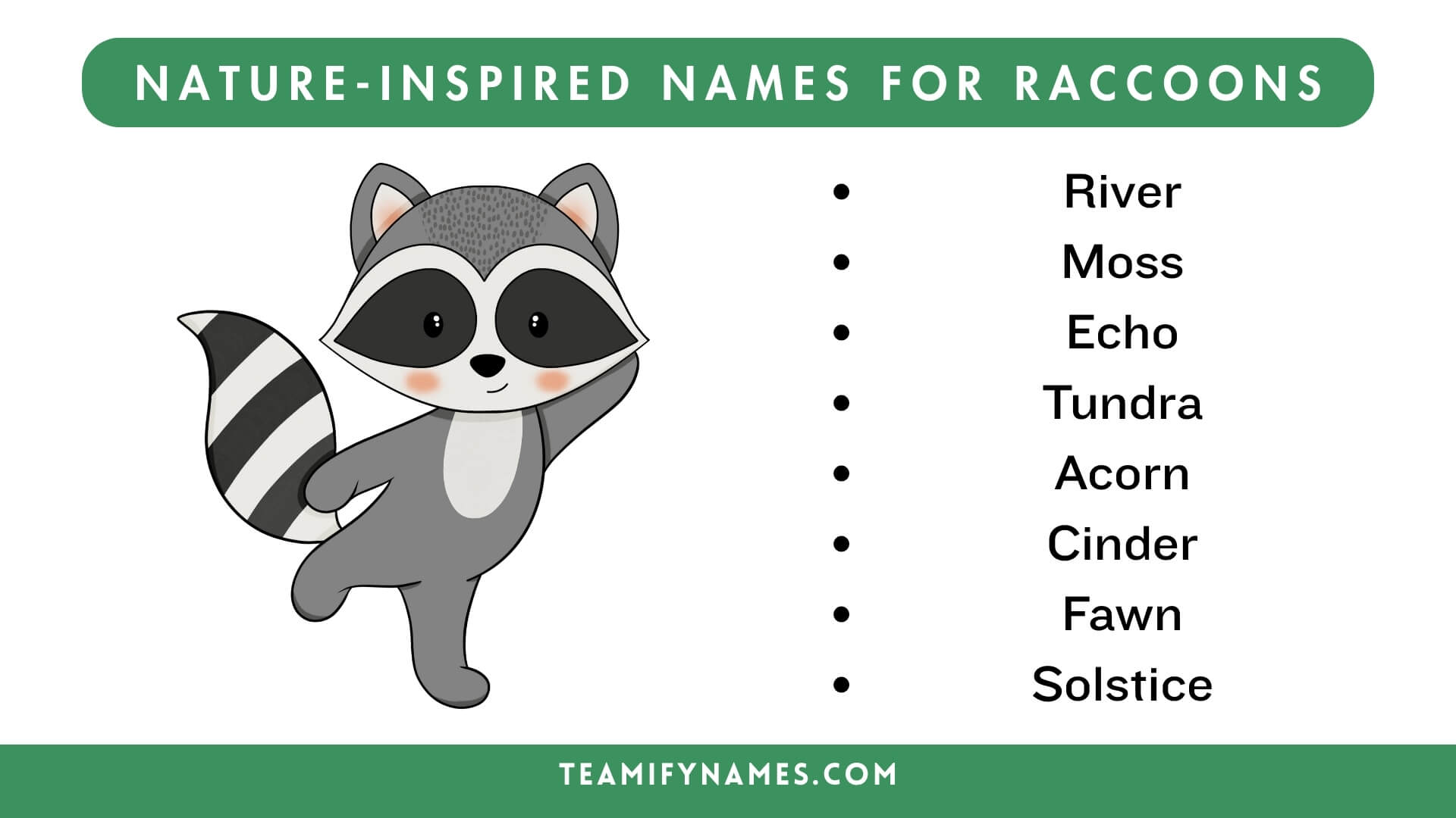 Nature-Inspired Names For Raccoons