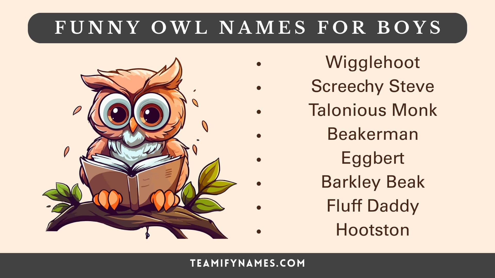 Funny Owl Names for Boys