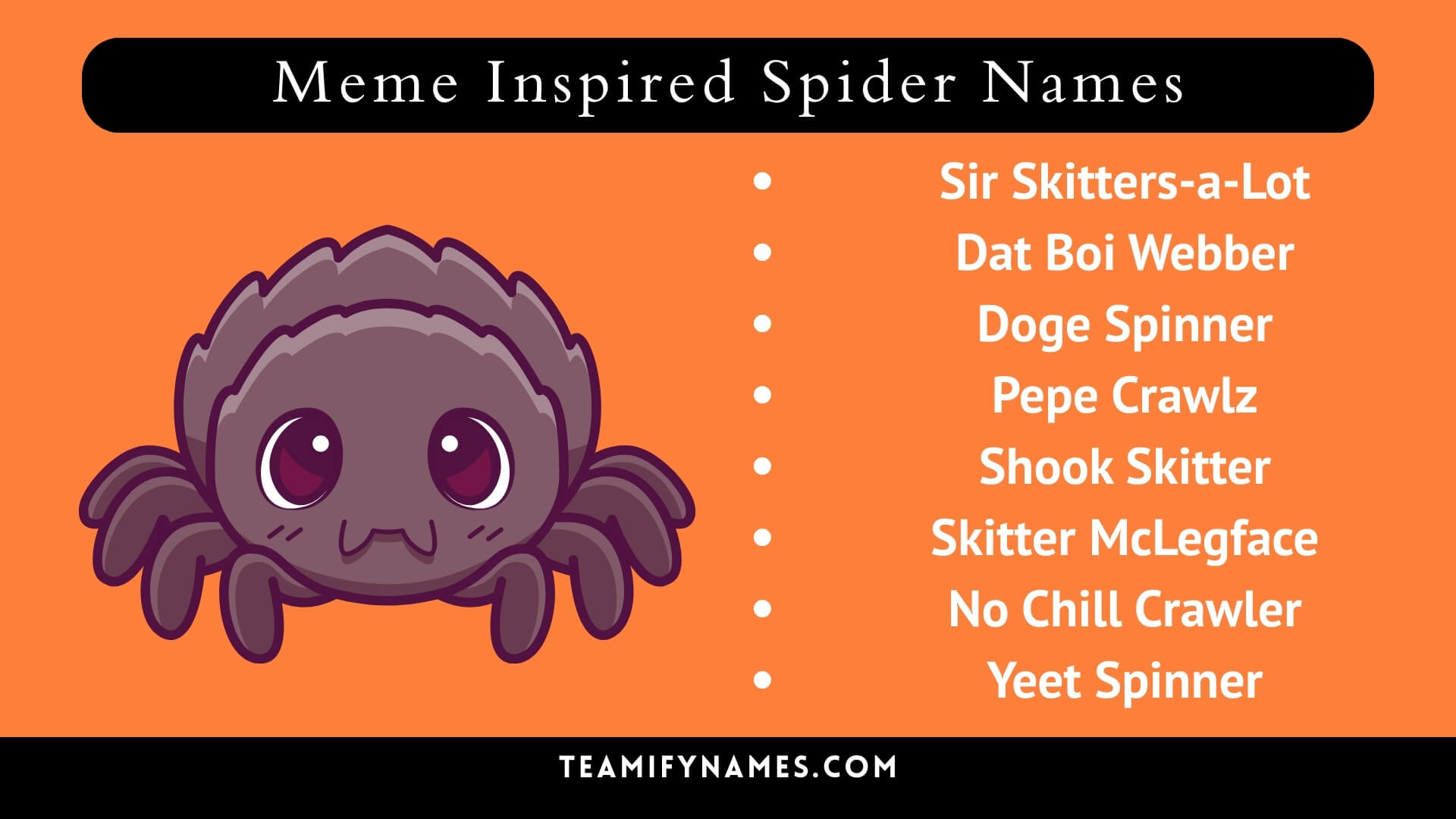 Meme Inspired Spider Names