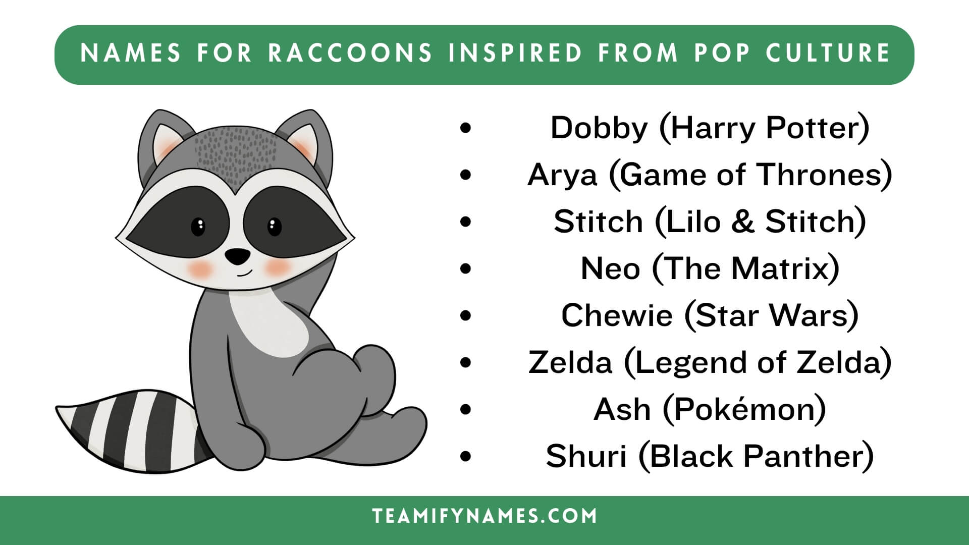 Names For Raccoons Inspired From Pop Culture