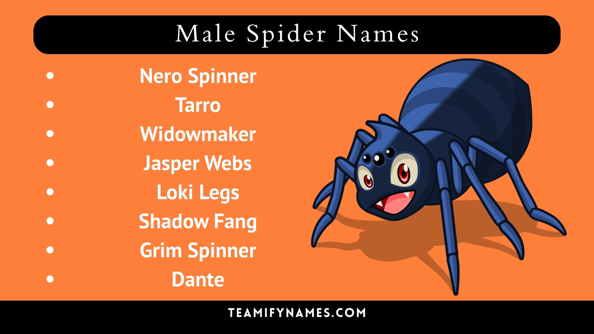 Male Spider Names