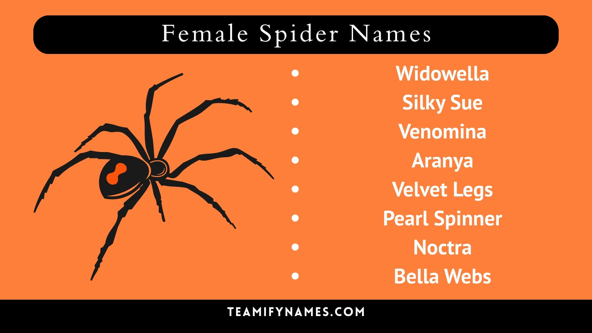 Female Spider Names