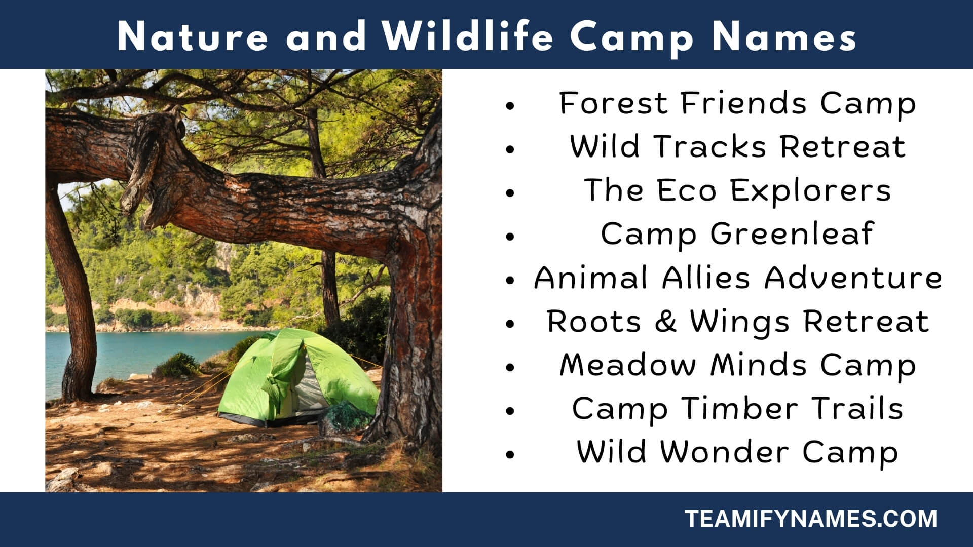 Nature and Wildlife Camp Names