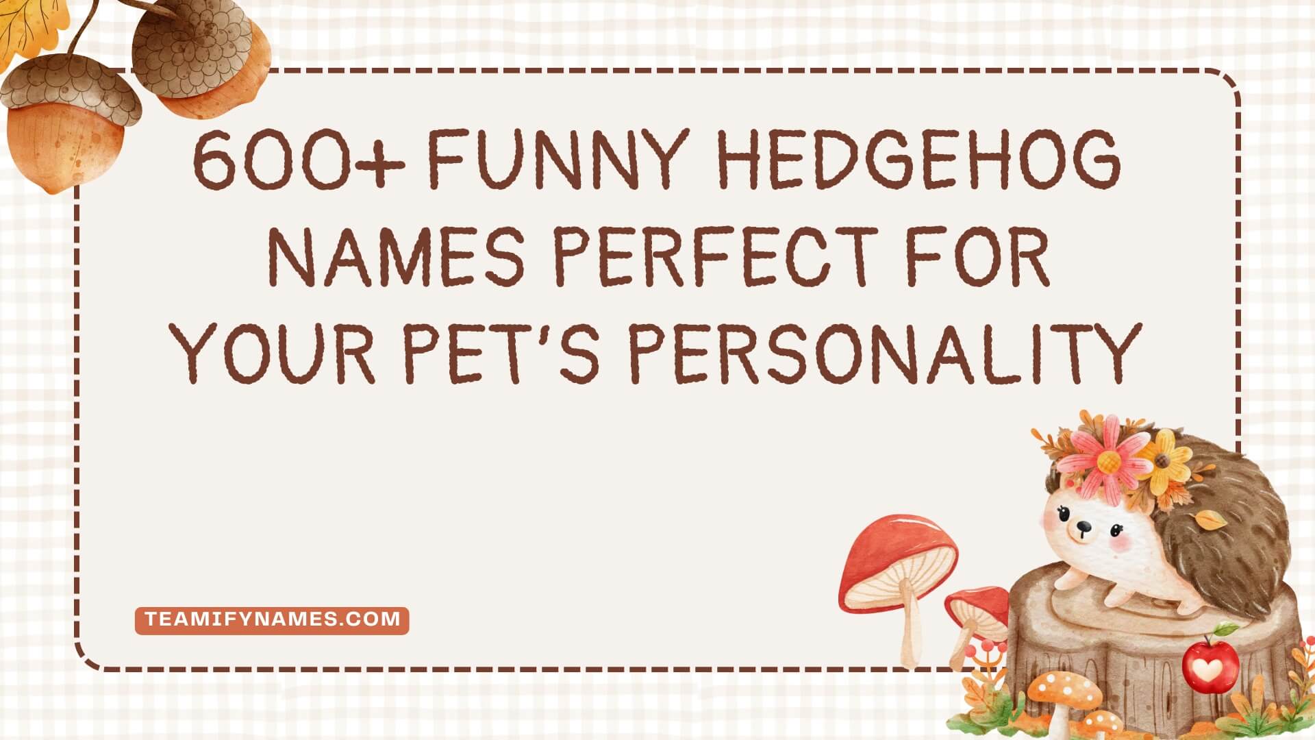 600+ Funny Hedgehog Names Perfect for Your Pet’s Personality