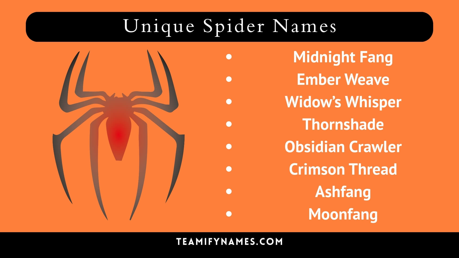 Unique Spider Names