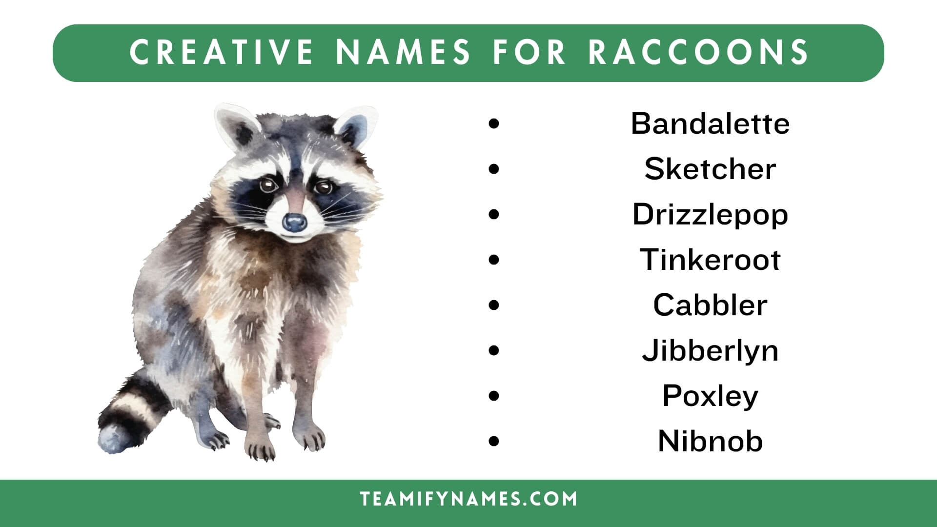Creative Names For Raccoons