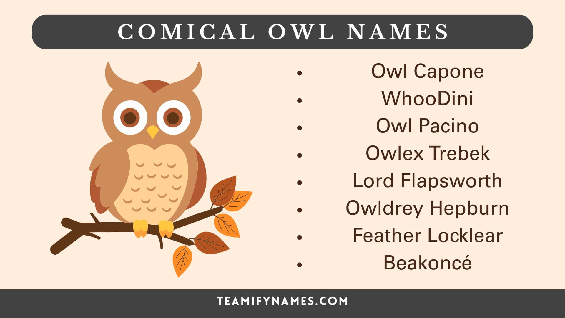 Comical Owl Names