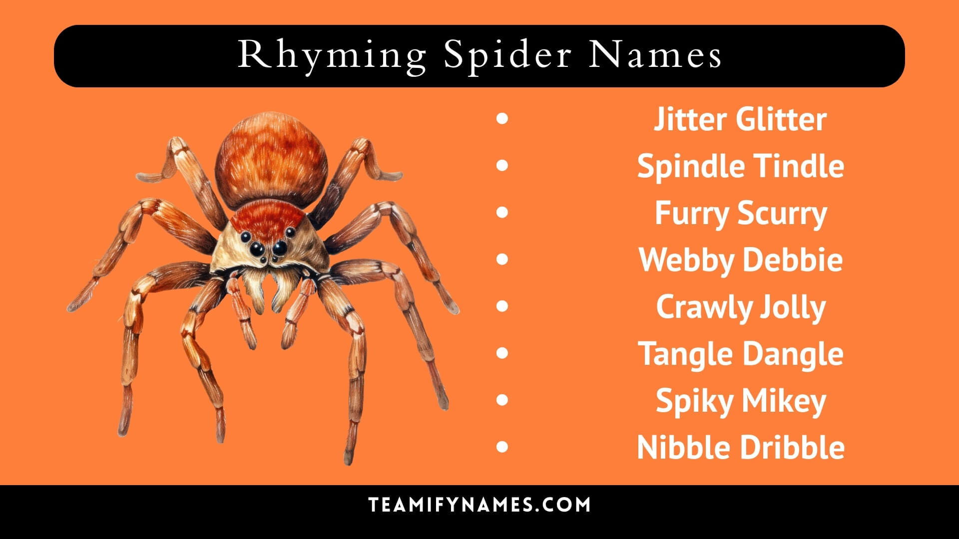 Rhyming Spider Names