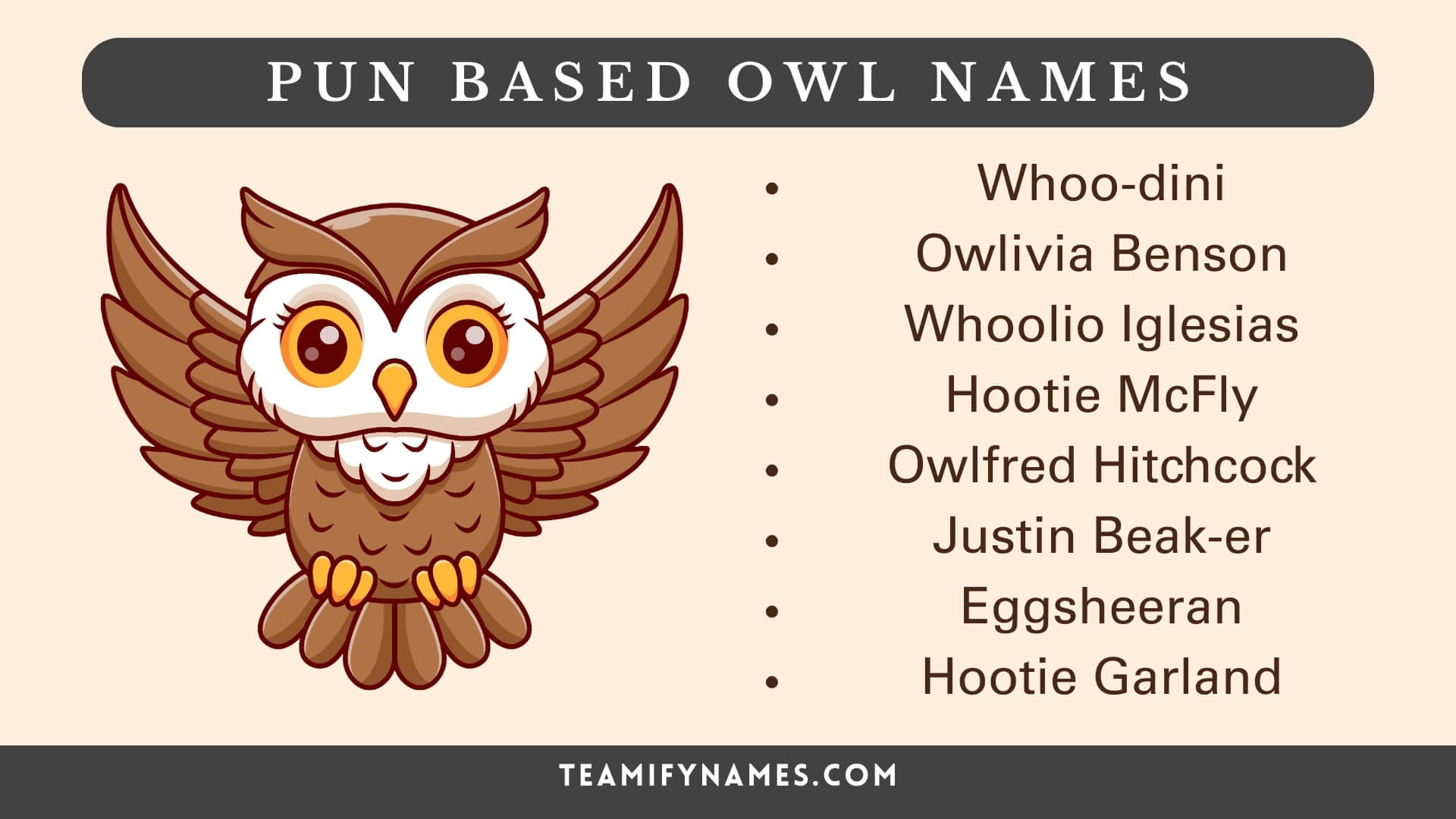 Pun Based Owl Names