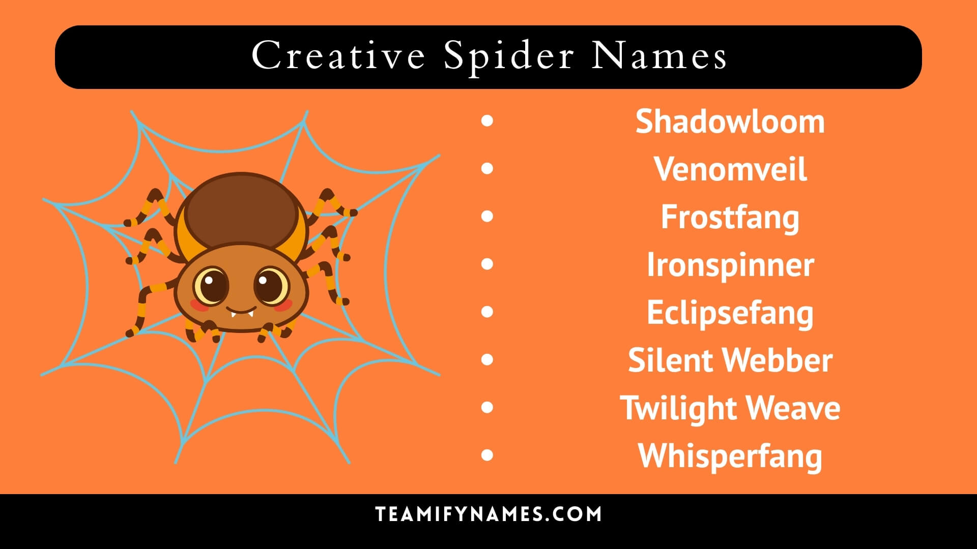Creative Spider Names