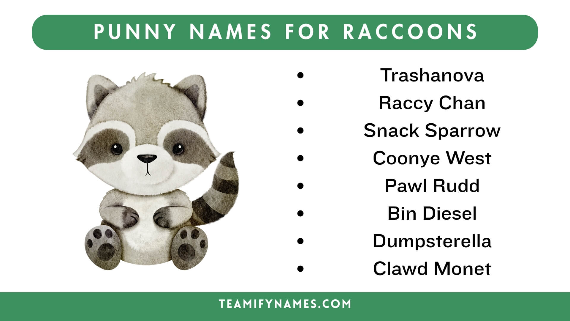 Punny Names For Raccoons