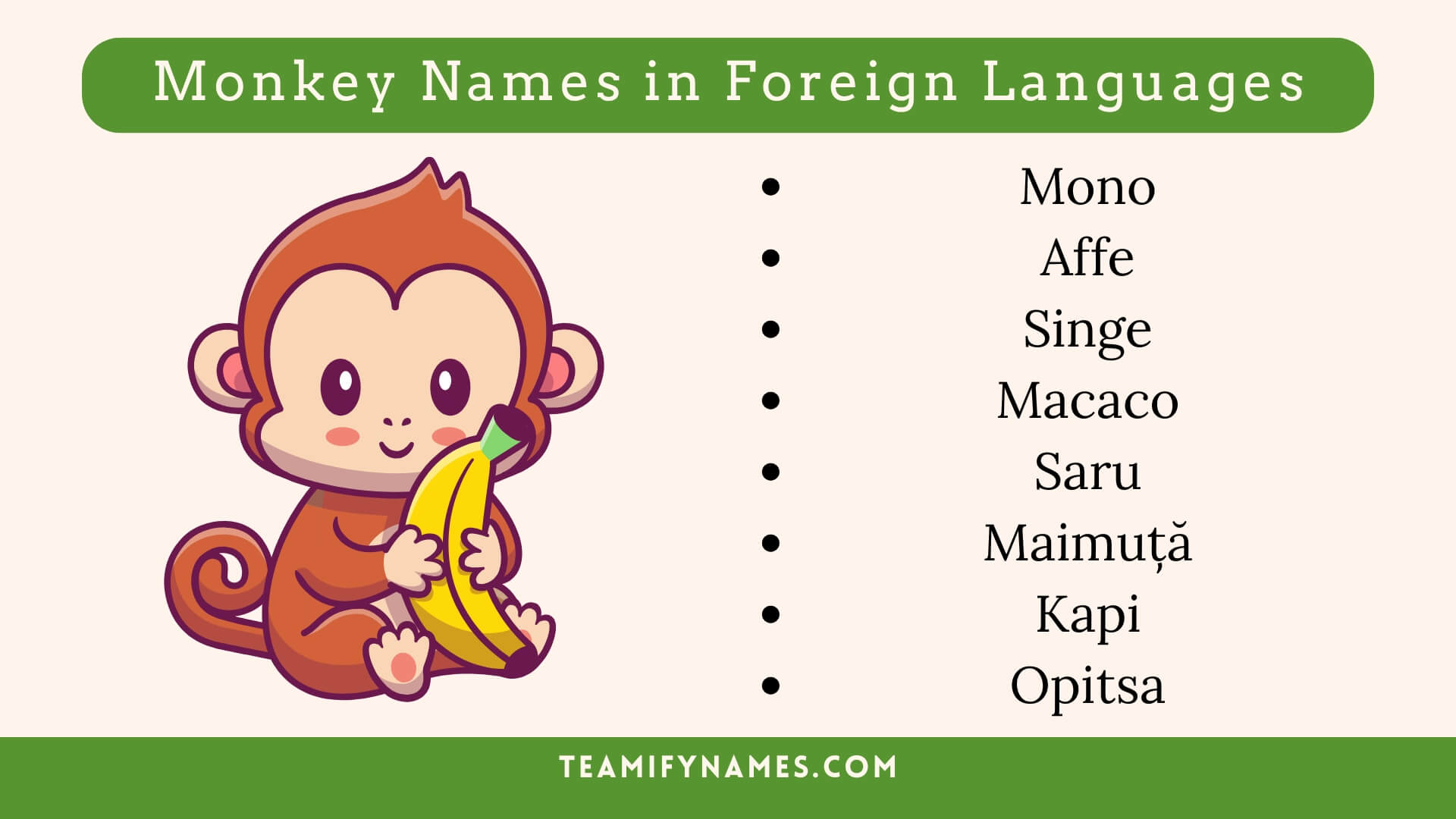 Monkey Names in Foreign Languages
