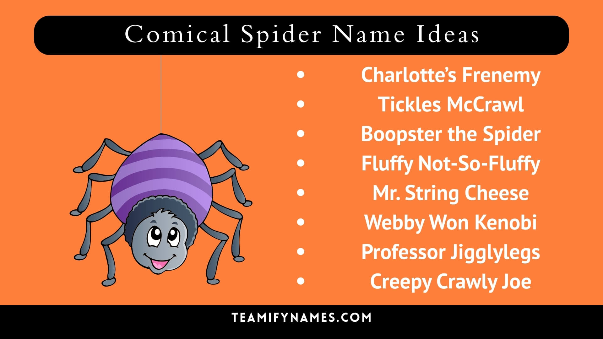 Comical Spider Name Ideas