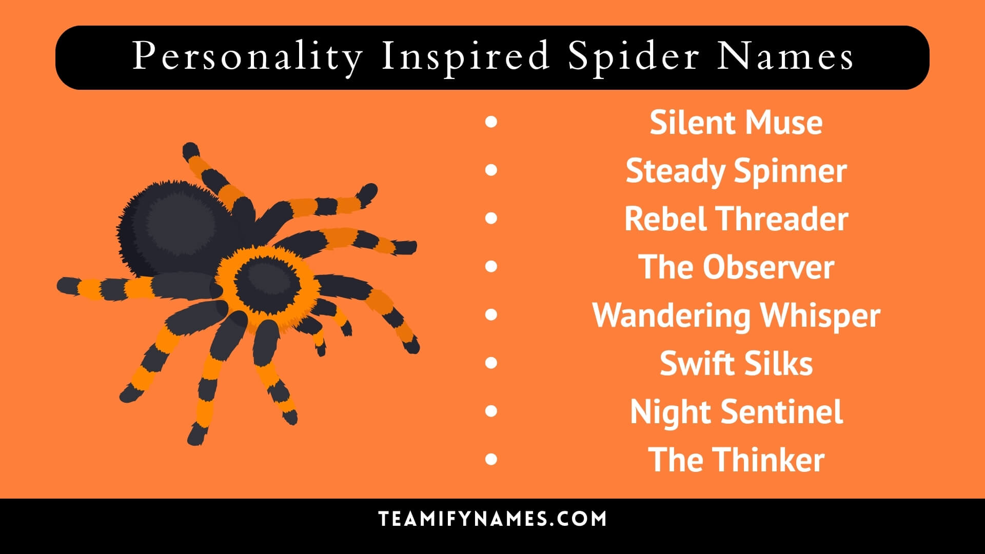 Personality Inspired Spider Names
