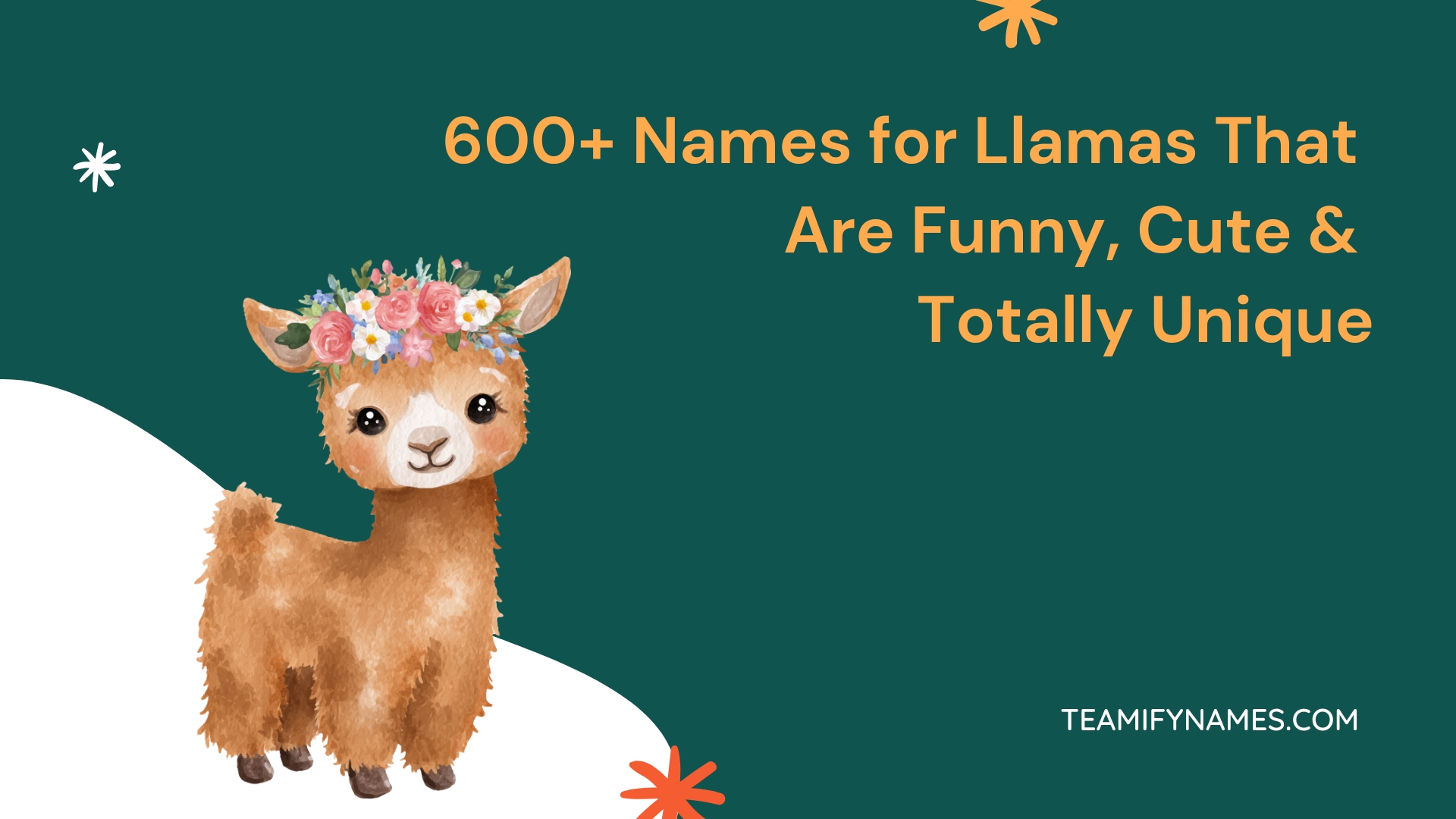 600+ Names for Llamas That Are Funny, Cute & Totally Unique
