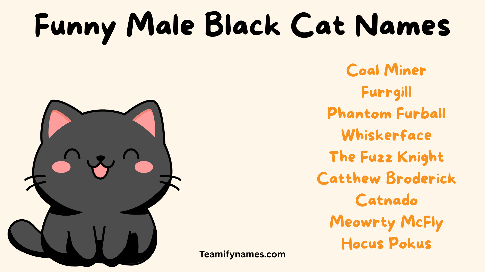 Funny Male Black Cat Names