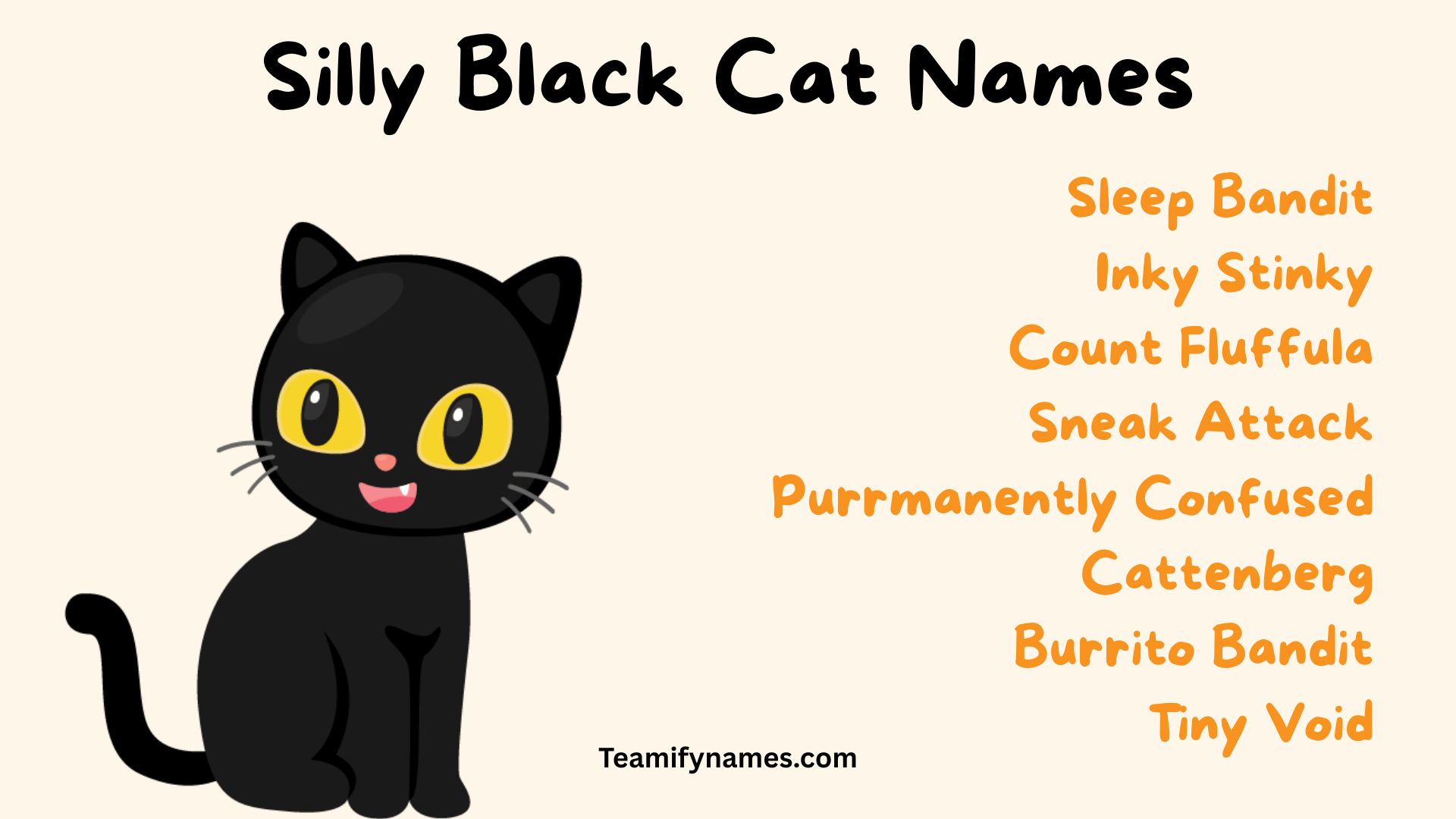 Silly Black Cat Names
