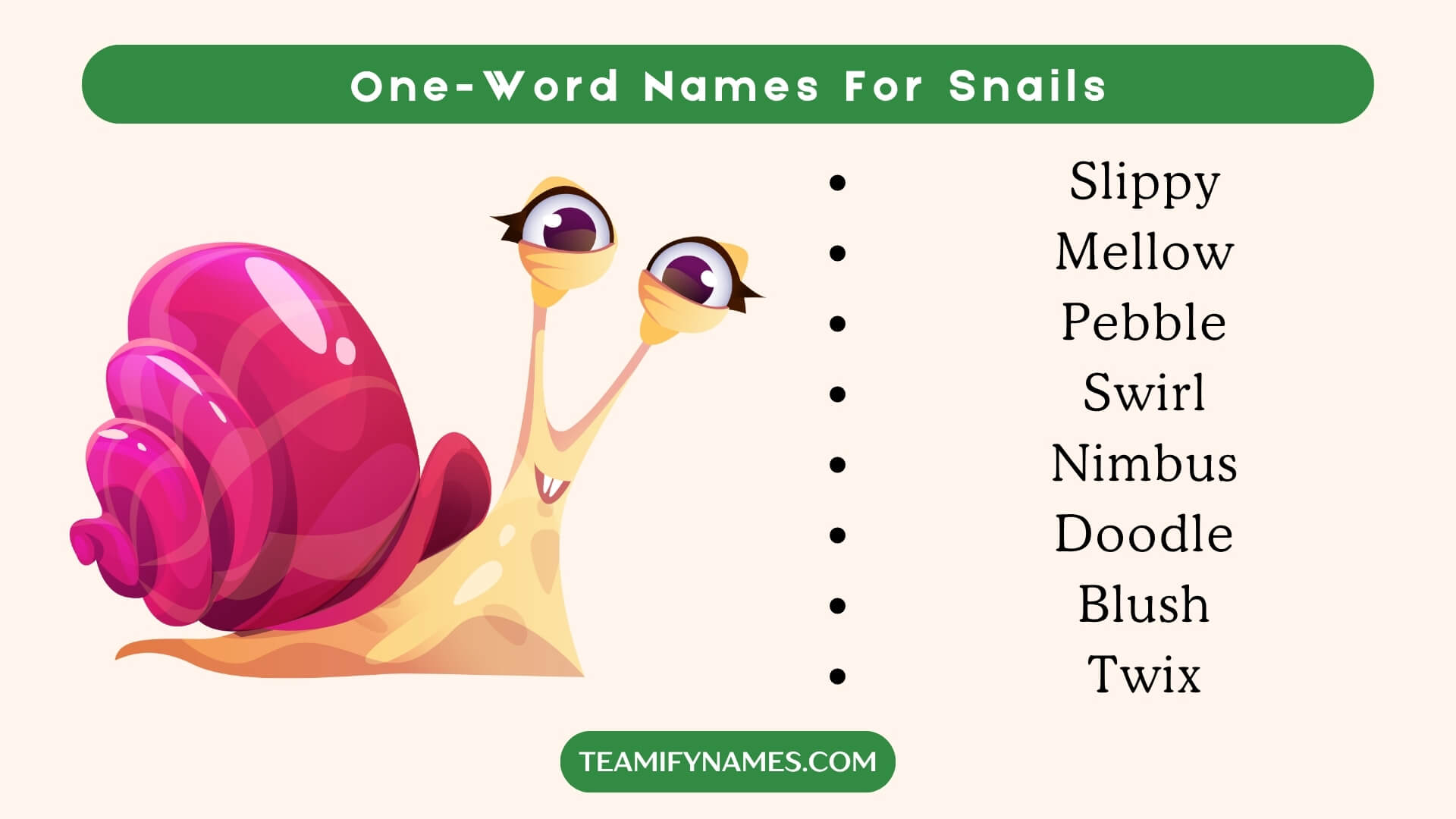 One-Word Names For Snails